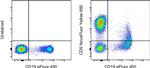 CD5 Antibody in Flow Cytometry (Flow)