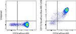 CD11b Antibody in Flow Cytometry (Flow)