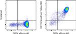 CD11b Antibody in Flow Cytometry (Flow)