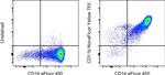 CD11b Antibody in Flow Cytometry (Flow)