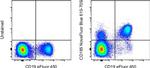 CD185 (CXCR5) Antibody in Flow Cytometry (Flow)