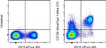 CD185 (CXCR5) Antibody in Flow Cytometry (Flow)