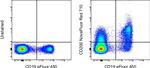 CD200 Antibody in Flow Cytometry (Flow)