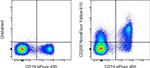 CD200 Antibody in Flow Cytometry (Flow)