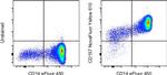 CD157 Antibody in Flow Cytometry (Flow)