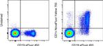 CD1c Antibody in Flow Cytometry (Flow)