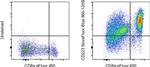 CD223 (LAG-3) Antibody in Flow Cytometry (Flow)