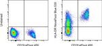 HLA-DR Antibody in Flow Cytometry (Flow)