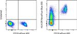 HLA-DR Antibody in Flow Cytometry (Flow)