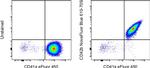 CD42b Antibody in Flow Cytometry (Flow)