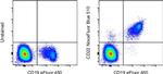 CD22 Antibody in Flow Cytometry (Flow)