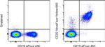 CD22 Antibody in Flow Cytometry (Flow)