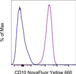 CD10 Antibody in Flow Cytometry (Flow)