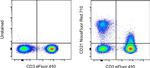 CD21 Antibody in Flow Cytometry (Flow)