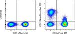 CD21 Antibody in Flow Cytometry (Flow)