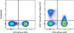 CD21 Antibody in Flow Cytometry (Flow)