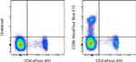 CD8b Antibody in Flow Cytometry (Flow)