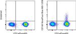 CD146 Antibody in Flow Cytometry (Flow)