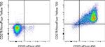 CD278 (ICOS) Antibody in Flow Cytometry (Flow)