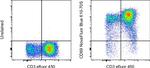 CD69 Antibody in Flow Cytometry (Flow)