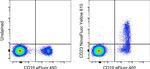 CD23 Antibody in Flow Cytometry (Flow)