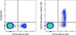 CD23 Antibody in Flow Cytometry (Flow)