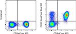 CD43 Antibody in Flow Cytometry (Flow)