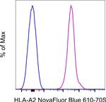 HLA-A2 Antibody in Flow Cytometry (Flow)