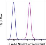 HLA-A2 Antibody in Flow Cytometry (Flow)