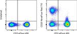 CD20 Antibody in Flow Cytometry (Flow)