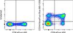 CD244 Antibody in Flow Cytometry (Flow)