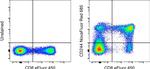 CD244 Antibody in Flow Cytometry (Flow)