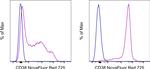 CD38 Antibody in Flow Cytometry (Flow)