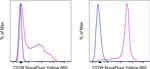 CD38 Antibody in Flow Cytometry (Flow)