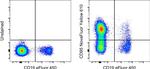 CD95 (APO-1/Fas) Antibody in Flow Cytometry (Flow)