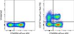 CD197 (CCR7) Antibody in Flow Cytometry (Flow)