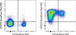 CD274 (PD-L1, B7-H1) Antibody in Flow Cytometry (Flow)