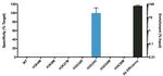 H3.3 G34V oncohistone mutant Antibody