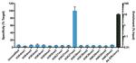 H3K27me3 Antibody in ChIP Assay (ChIP)