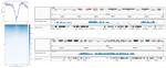 H3K27me3 Antibody in ChIP-Sequencing (ChIP-seq)