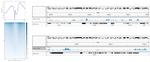 H3K4me1 Antibody in ChIP-Sequencing (ChIP-seq)