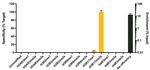 H3K27me1 Antibody in ChIP Assay (ChIP)