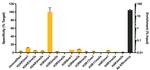 H3R2me1 Antibody in ChIP Assay (ChIP)