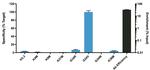 H3.3 G34V oncohistone mutant Antibody in ChIP Assay (ChIP)