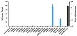 H4K8ac Antibody