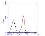 FCGRT Antibody in Flow Cytometry (Flow)