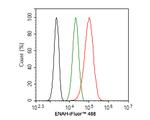 ENAH Antibody in Flow Cytometry (Flow)