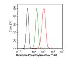 Nucleoside Phosphorylase Antibody in Flow Cytometry (Flow)