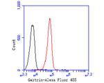 Gastrin Antibody in Flow Cytometry (Flow)