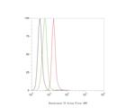 Hexokinase II Antibody in Flow Cytometry (Flow)